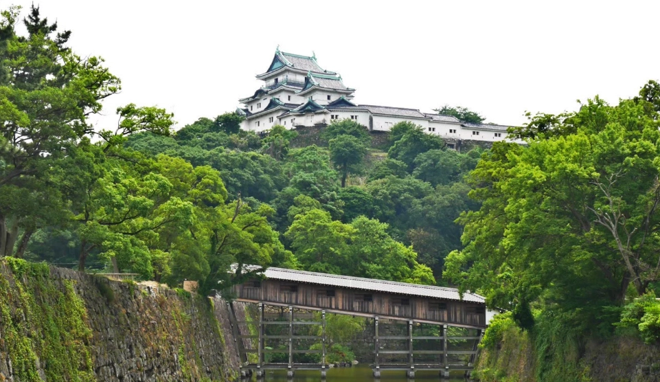 和歌山車票價格