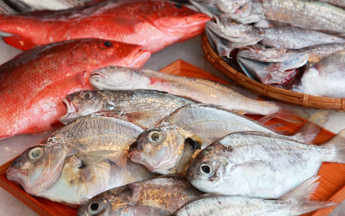 脂肪肝中醫治療