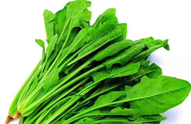 脂肪肝調理方法