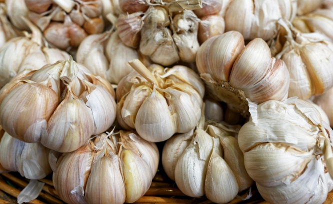 防止蒜頭髮芽 防止蒜頭髮芽