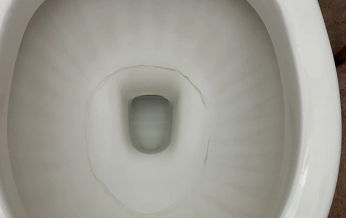 馬桶霉斑處理 馬桶霉斑處理