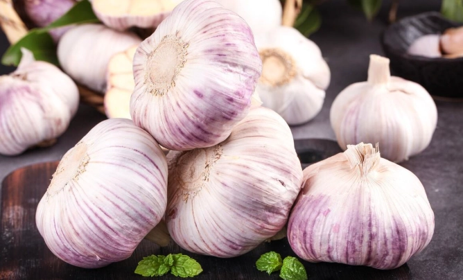 大蒜不發芽技巧