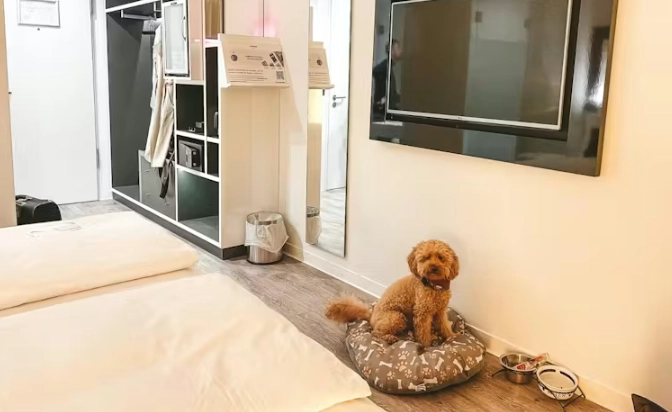 台中寵物友善住宿 台中寵物友善住宿