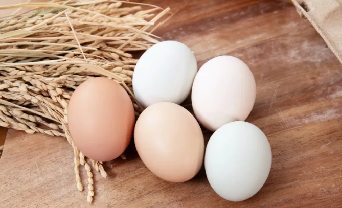 烏骨雞蛋 烏骨雞蛋