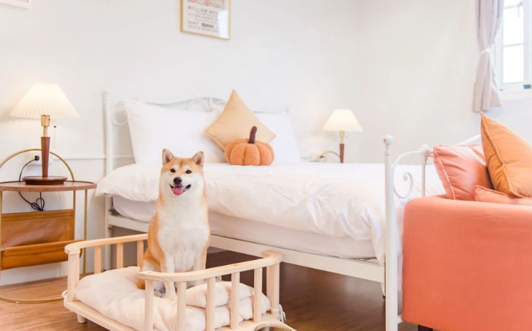 寵物友善住宿評分