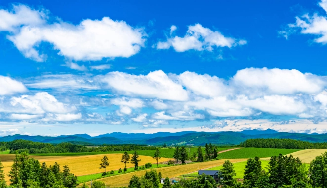 北海道交通比較