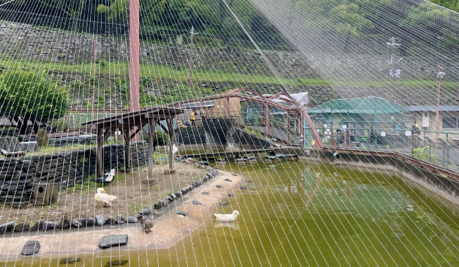 和歌山公園動物園交通