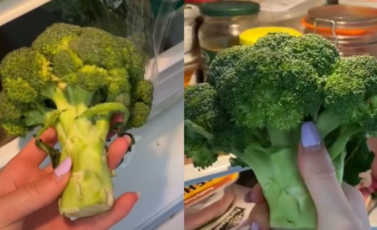 花椰菜保存方法 花椰菜保存方法