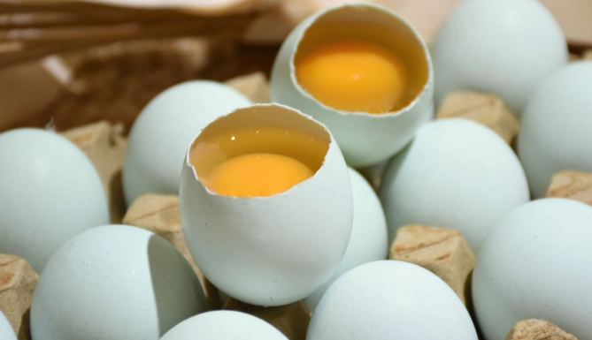 烏骨雞蛋 烏骨雞蛋