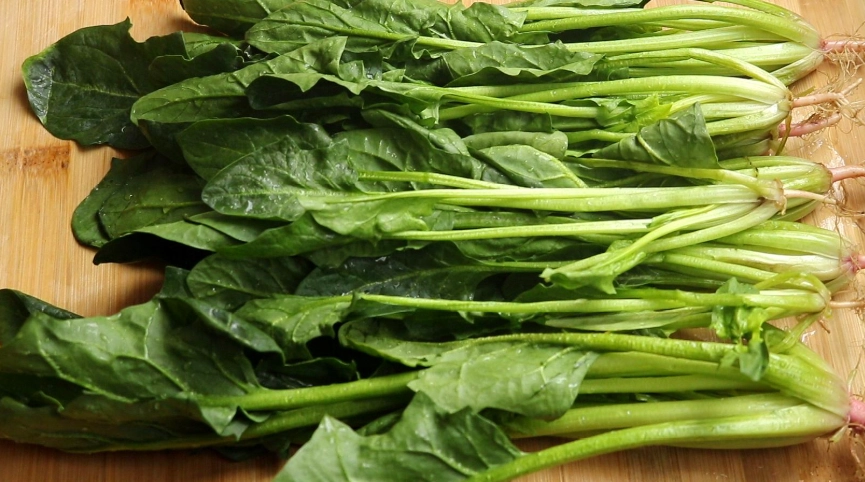 促進頭髮生長方法