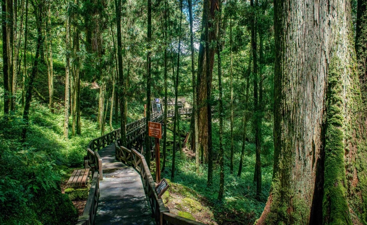嘉義旅遊景點 嘉義旅遊景點