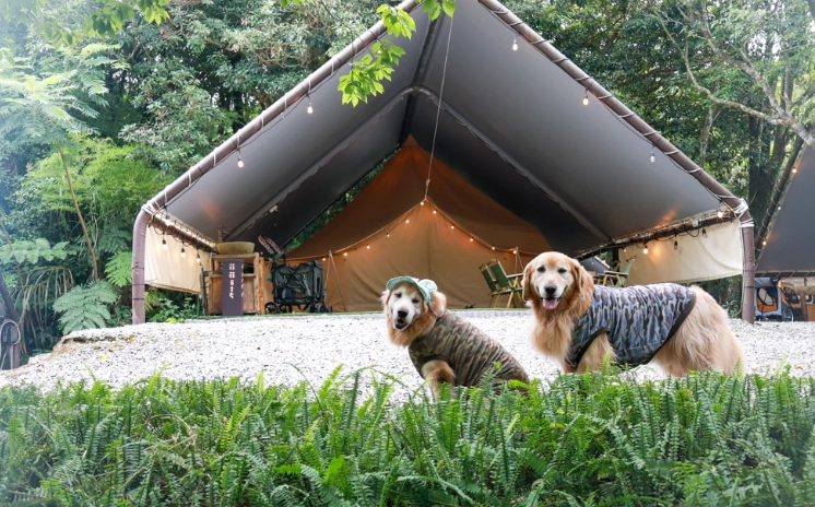 台中露營地推薦