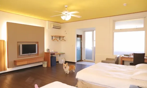 台中寵物友善住宿