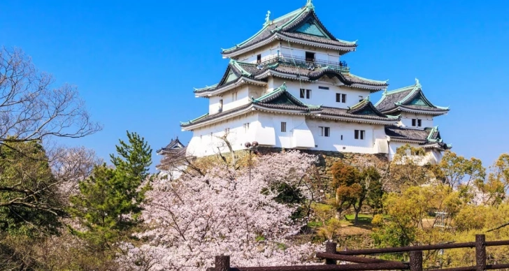 和歌山城參觀時間