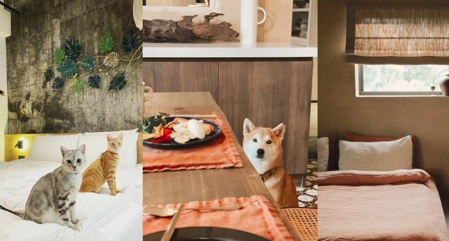 西屯區寵物住宿