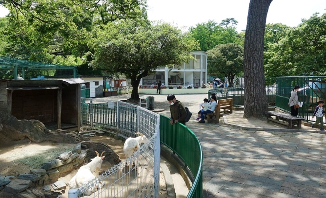 和歌山動物園攻略