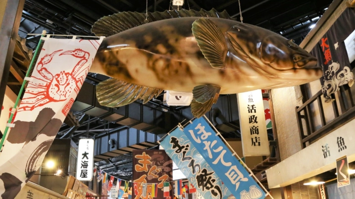 和歌山旅遊指南