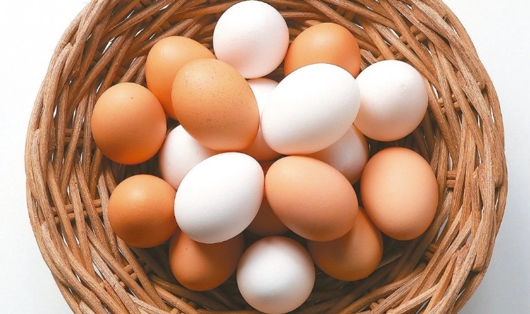 頭髮生長速度 頭髮生長速度