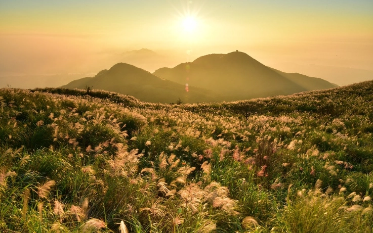 道北旅游景点 道北旅游景点