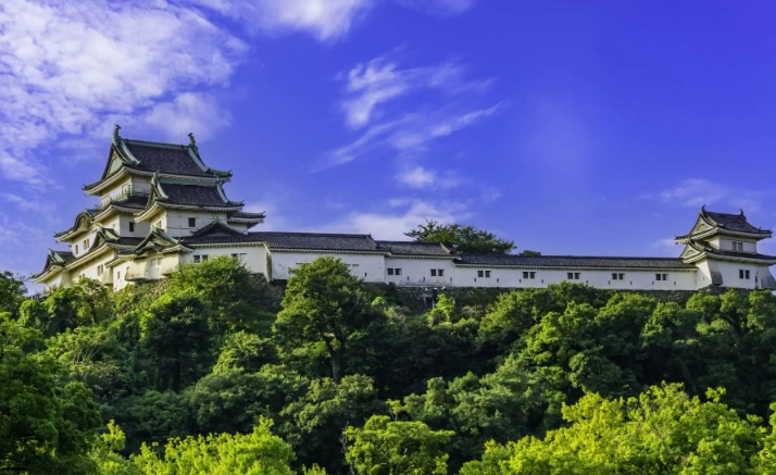 和歌山親子旅遊