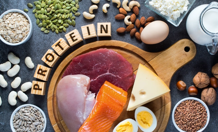 溫度對蛋白質影響