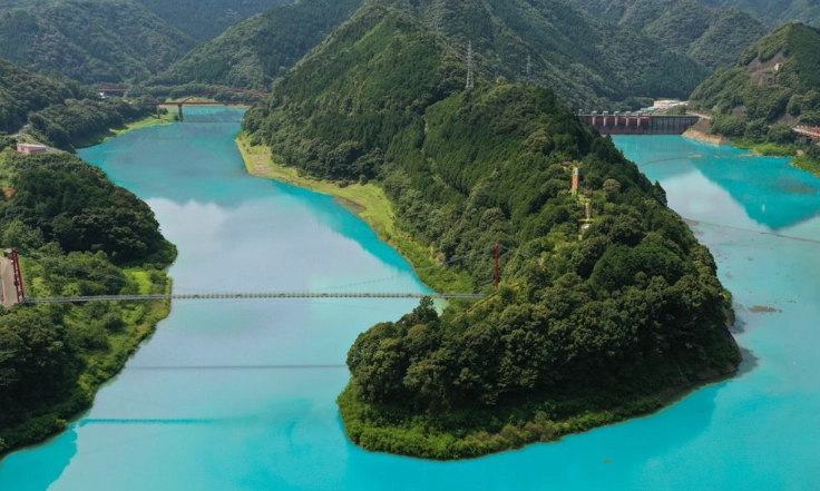 和歌山大阪交通