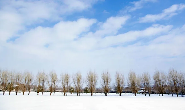 北海道冬天自駕遊 北海道冬天自駕遊