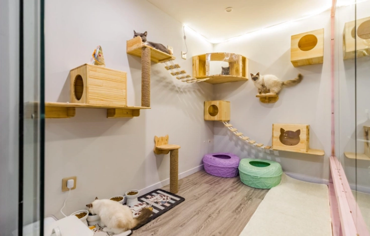 豐原寵物友善民宿