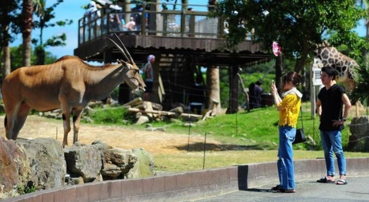 台灣主題樂園交通