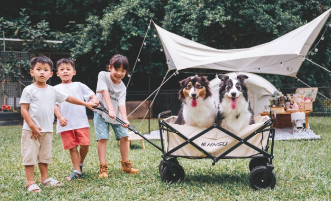 寵物露營準備