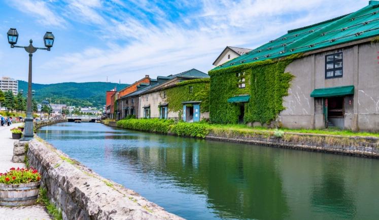 北海道冬季自駕