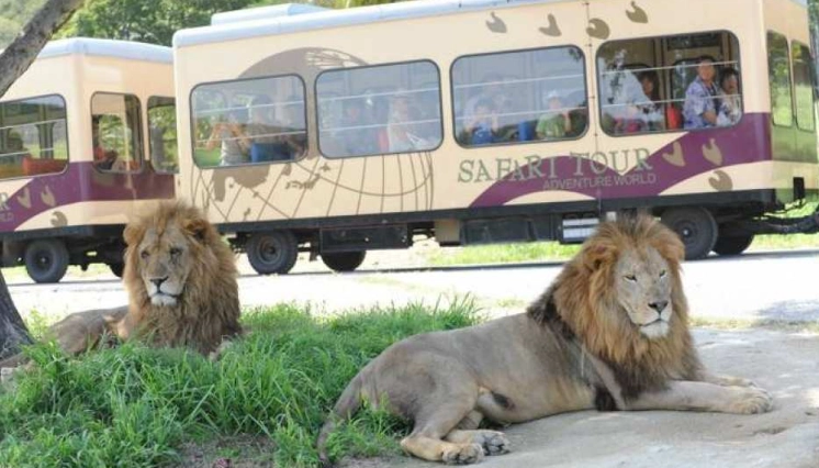台灣主題樂園交通