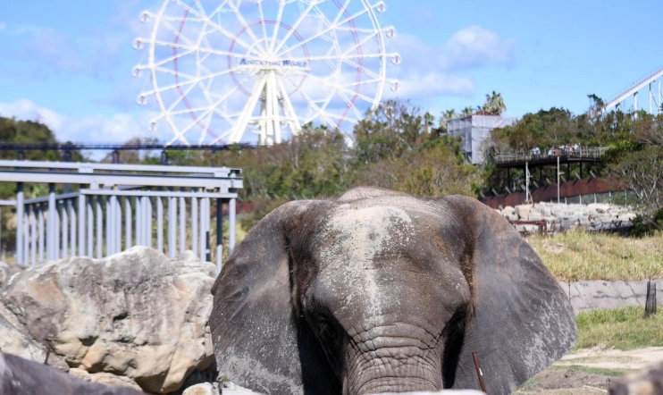 冒險世界交通指南