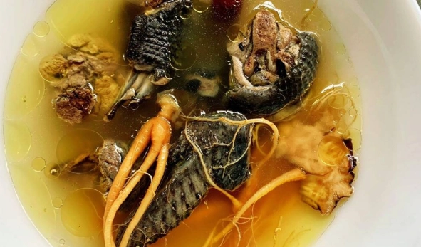 烏骨雞 營養價值