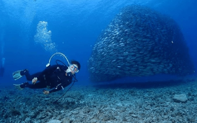 塞班島省錢攻略