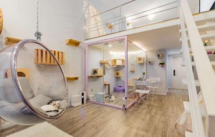 台中寵物友善飯店