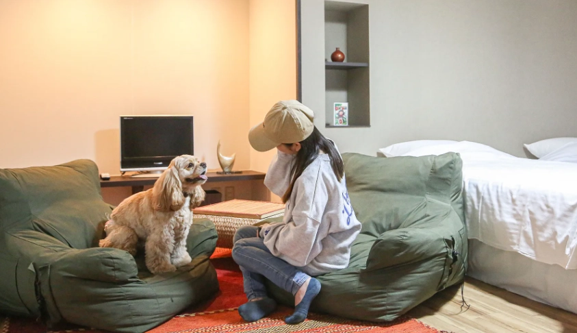 台灣寵物友善住宿