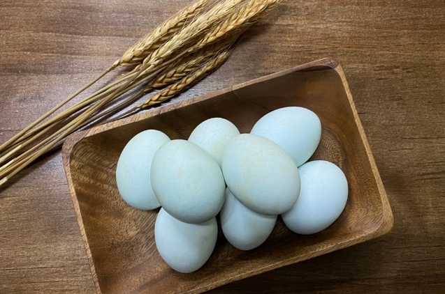 烏骨雞蛋營養價值 烏骨雞蛋營養價值