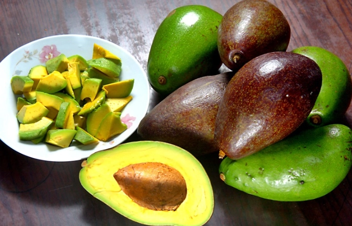 酪梨變質識別 酪梨變質識別