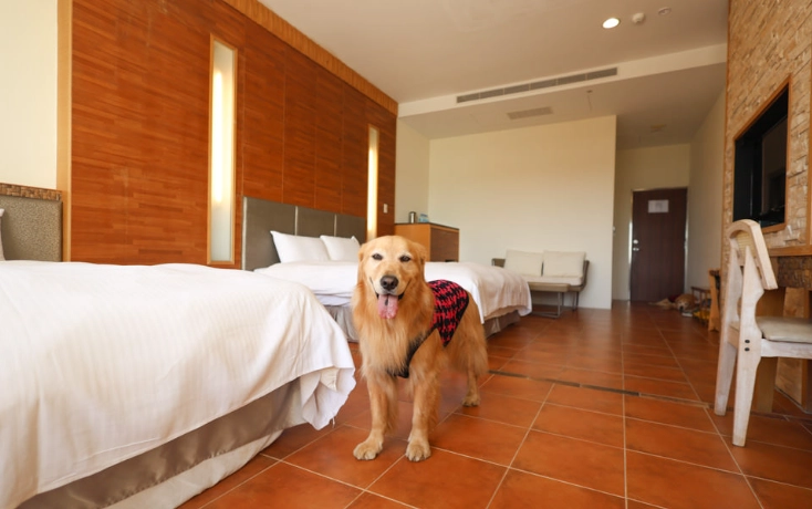 台中寵物友善住宿