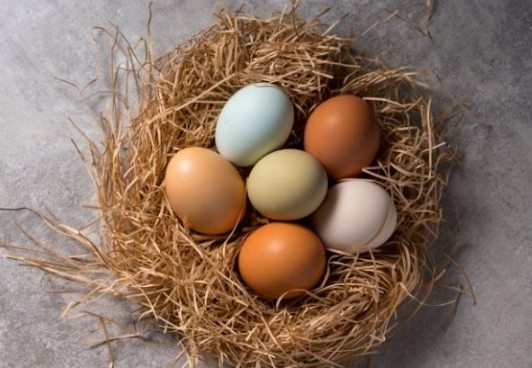 烏骨雞蛋好處 烏骨雞蛋好處