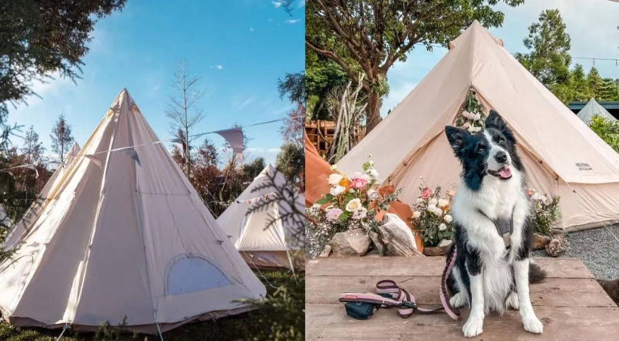 寵物露營準備
