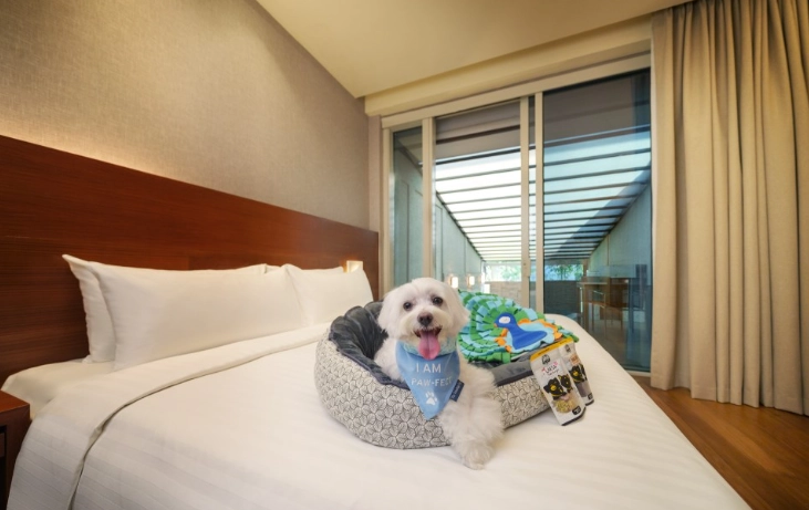 寵物友善飯店台中 寵物友善飯店台中