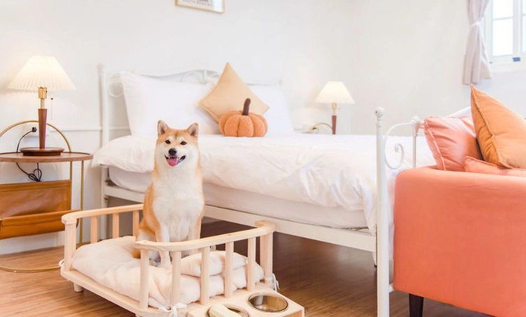 台中寵物友善飯店