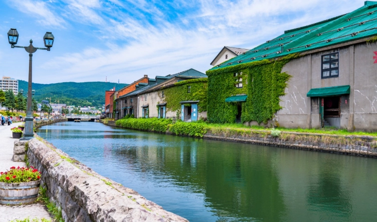 北海道自驾限速
