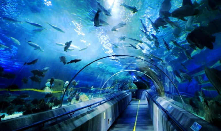 台灣古生物景點