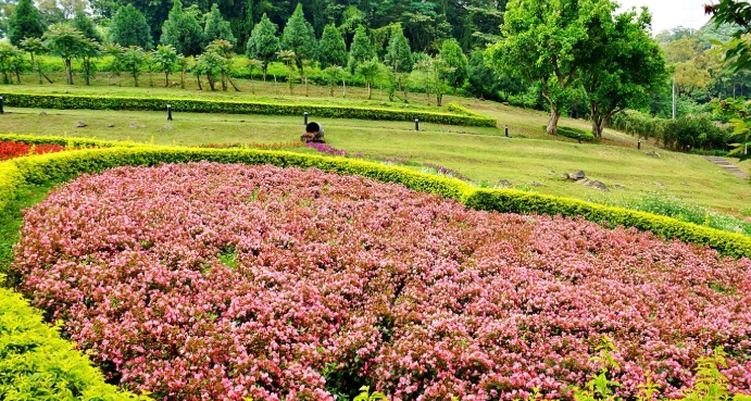 桃園農場推薦 桃園農場推薦
