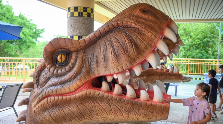 古生物樂園行程建議 古生物樂園行程建議