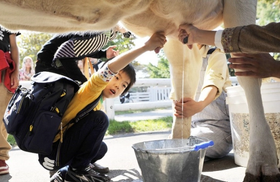 走馬瀨農場玩樂 走馬瀨農場玩樂