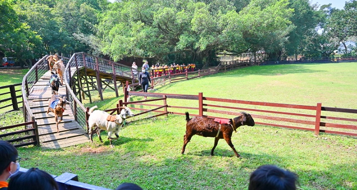 桃園農場推薦 桃園農場推薦